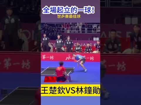 组欧冠第,拜仁慕尼黑,加拉塔萨雷,世界杯预选赛,2026赛程,球队分析,最新动态,预选赛资讯